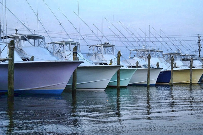 Ready For Tomorrow, National Shore Outer Banks, NC