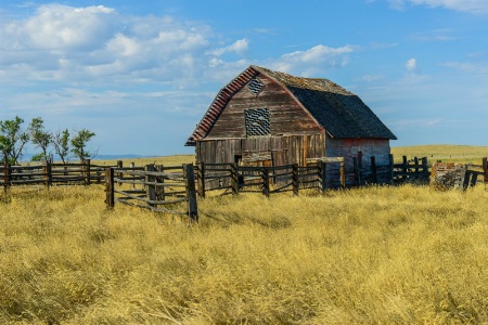 Coffee Creek Barn #2