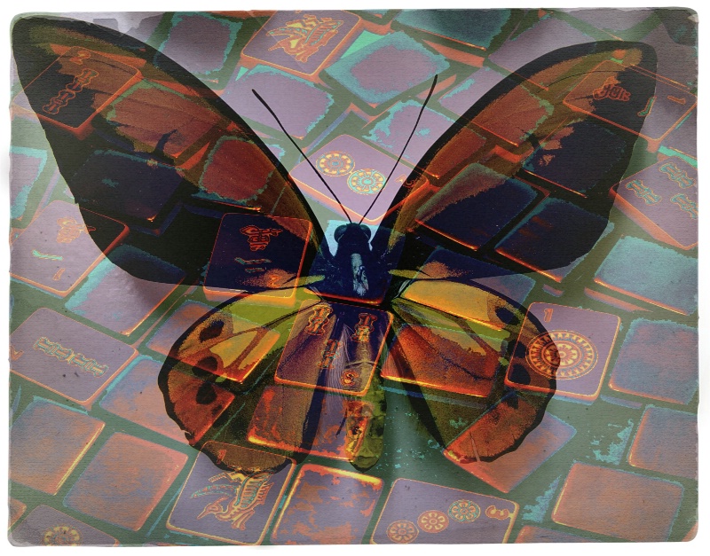 Butterfly Vintage