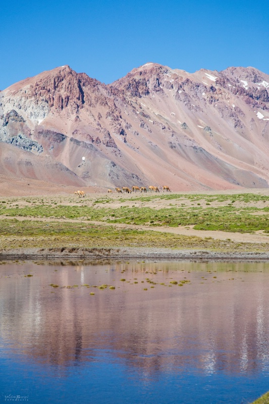 Laguna del Diamante - ID: 15092597 © Tomás Widow