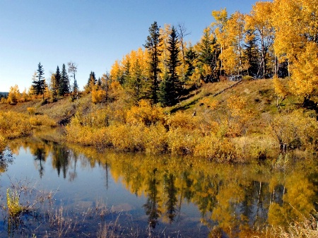 Fall At The Pond