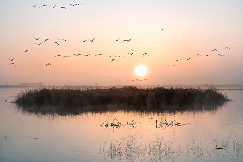 Sunrise Wetlands
