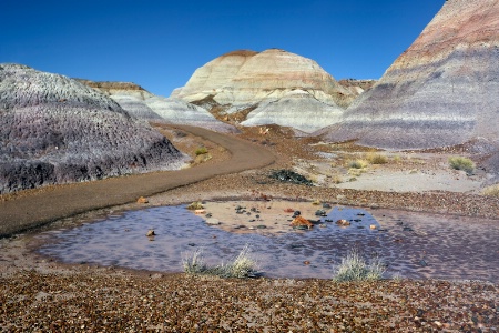 Puddle in the Badlands