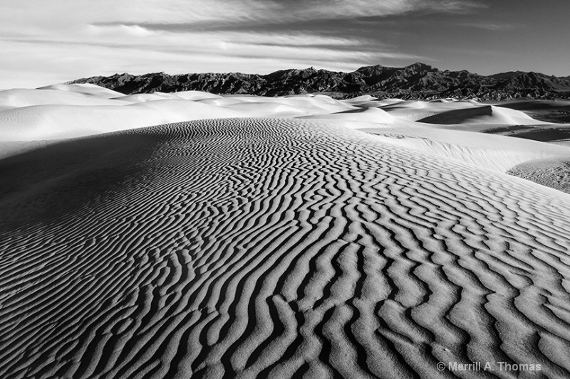 Mesquite Dunes Wide