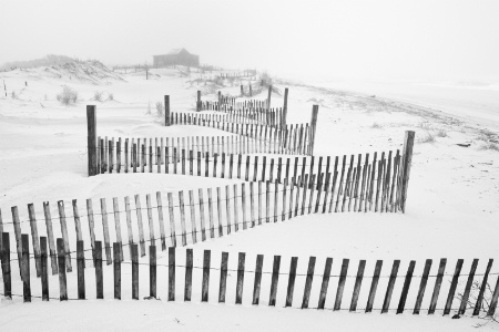 Fog at the Beach