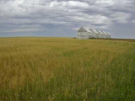 Alberta Granaries 