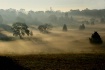 Misty Valley 2