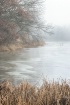 First Ice