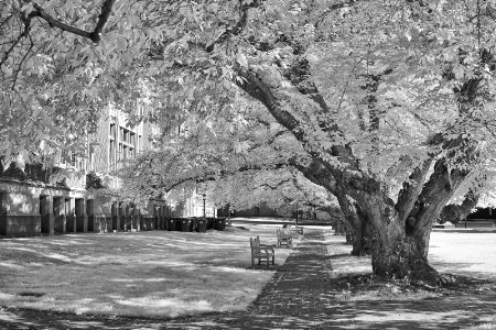 On The Quad