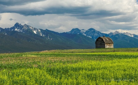 Spring Barn