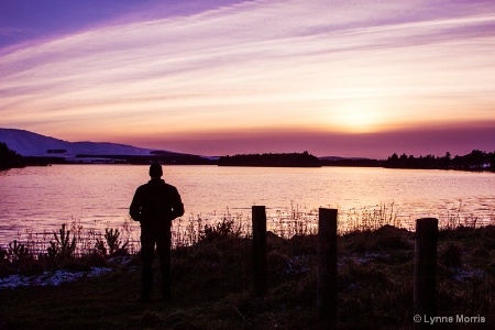 Purple Sunset