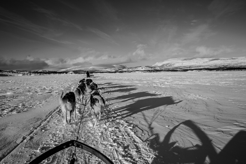 Nordic Journey - ID: 15095453 © Ilir Dugolli