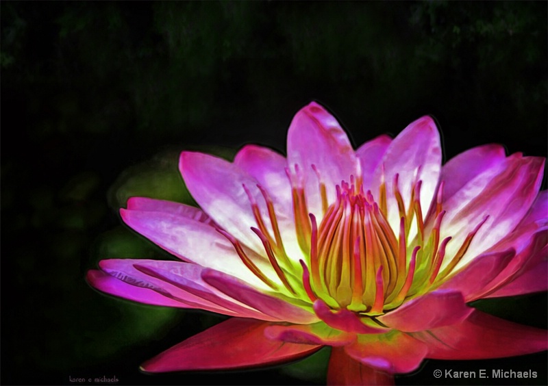 lily in the morning - ID: 15095491 © Karen E. Michaels