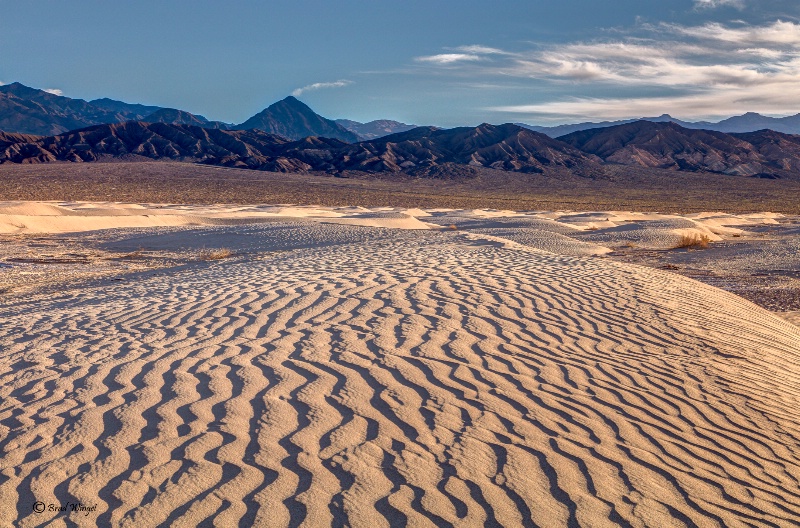 Death Valley Dune Patterns