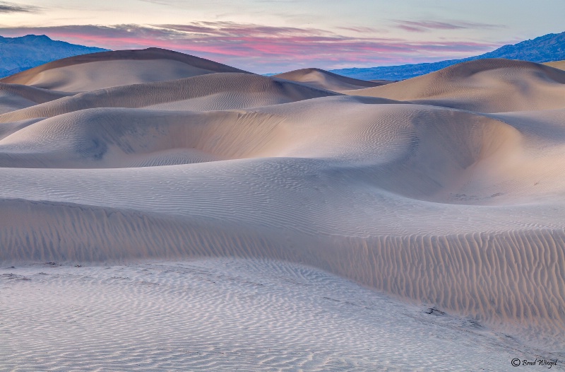 Death Valley Dune Patterns