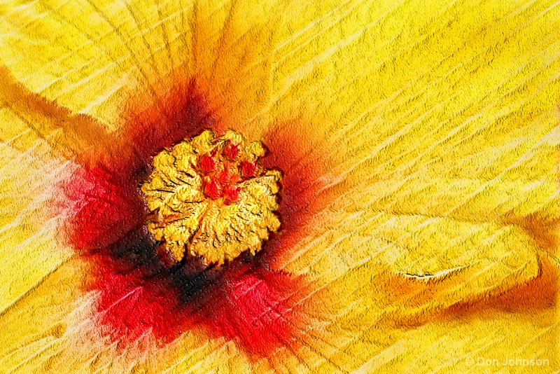Artistic Hibiscus-Yellow 2-5-16 181