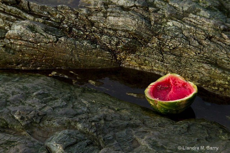 Rogue watermelon - ID: 15098397 © Liandra Barry 