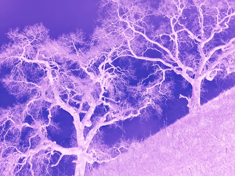 img5