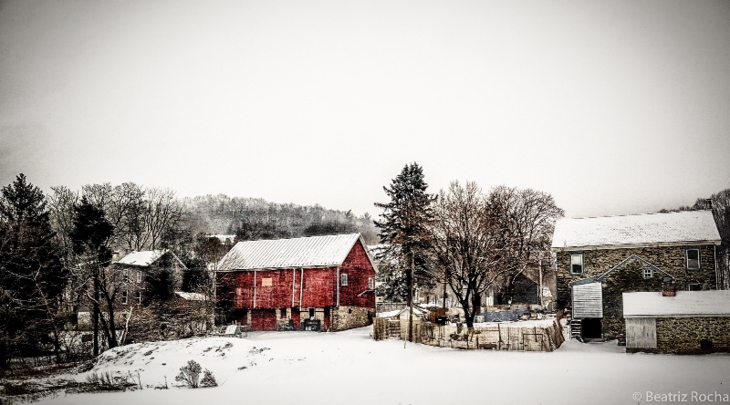  Farm by the Road