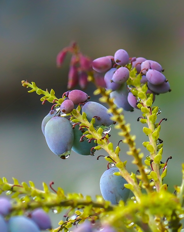 Signs of Spring 2