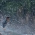 2Spring Shower - ID: 15102283 © Carol Eade