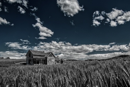 Abandoned in the Palouse