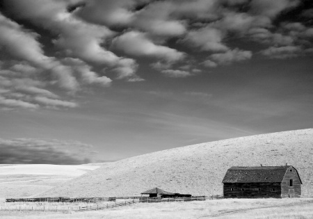 Barn in Stubble 