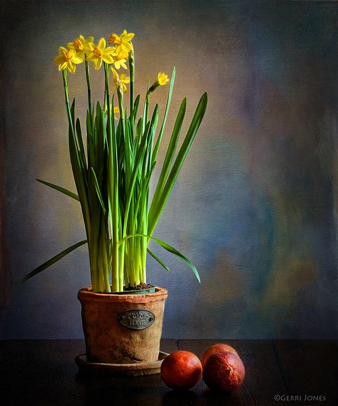 Spring Still Life