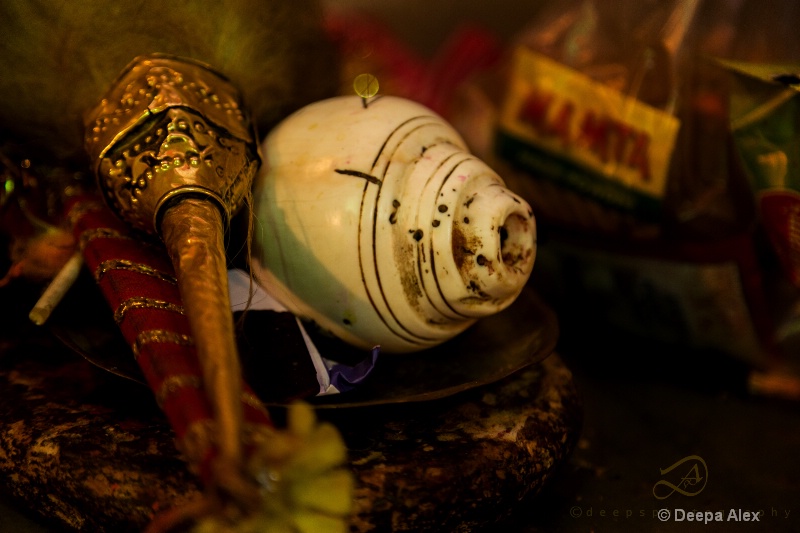 Shankha -The conch shell