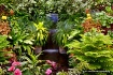 Butchart Gardens