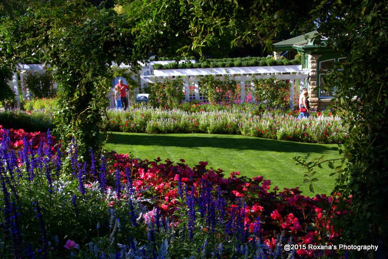 Butchart Gardens