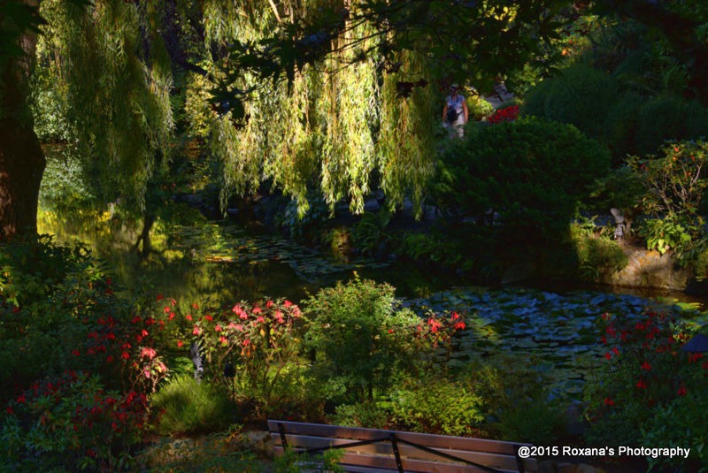 Butchart Gardens