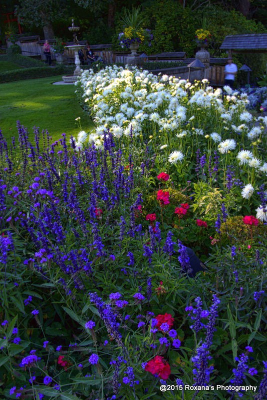 Butchart Gardens