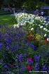 Butchart Gardens