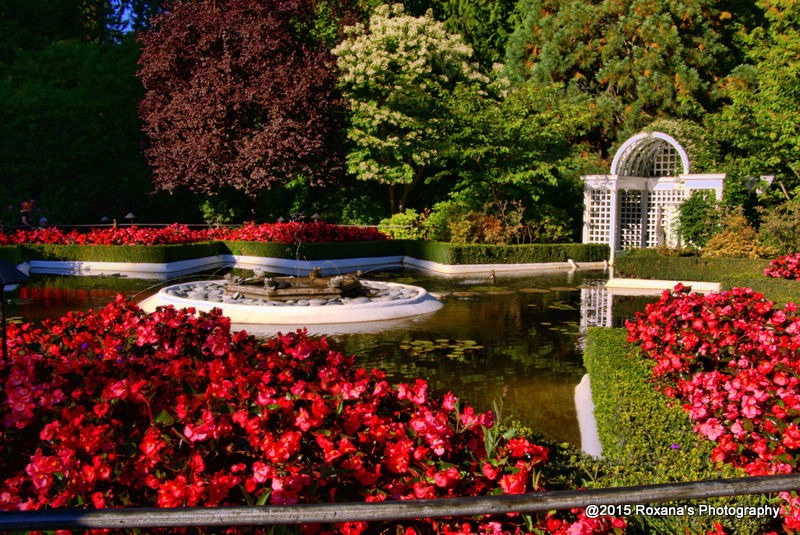 Butchart Gardens