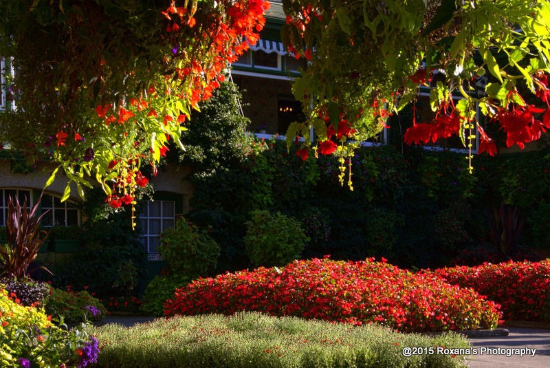 Butchart Gardens