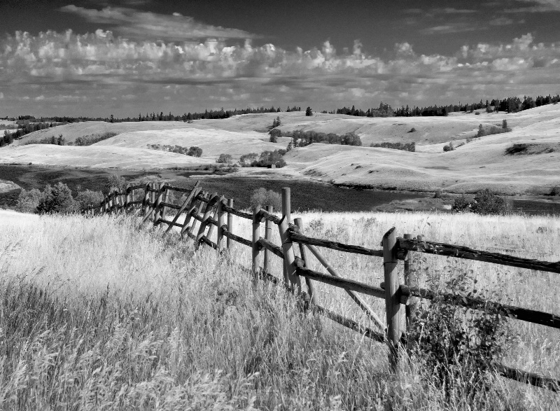 High Country Fence 