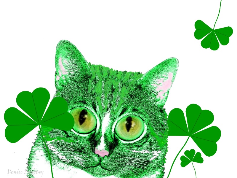 Have a Happy St. Patrick's Day!