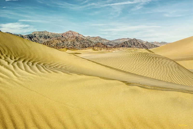 Wandering thru Mesquite Flats