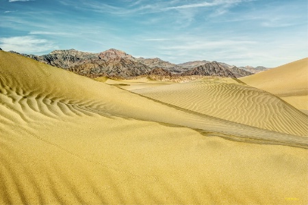 Wandering thru Mesquite Flats