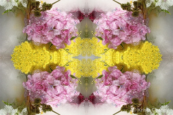 Yarrow & Sweet William in ice I—kaleidoscopic - ID: 15105408 © Krista Cheney