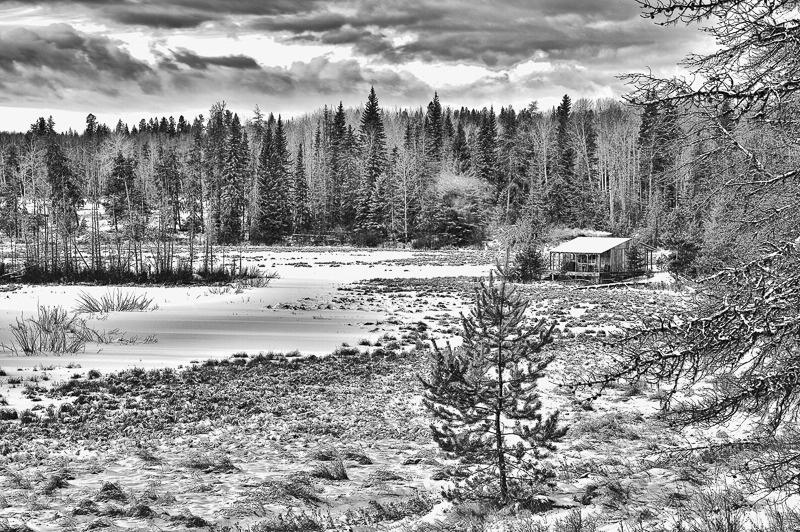 Old Homestead in Winter - ID: 15105474 © Larry J. Citra