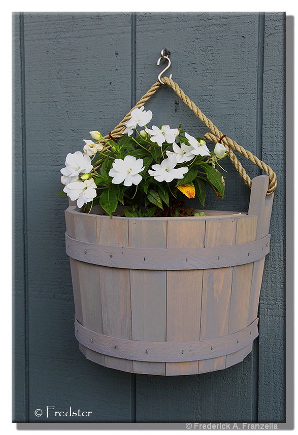 Bucket Of Flowers