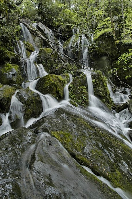 Smoky Mountains, Place of 1000 Drips