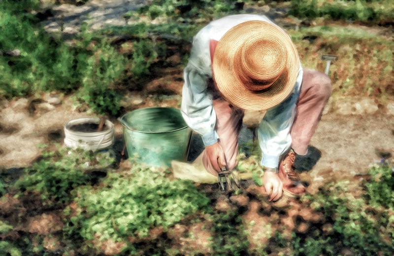 Spring Planting