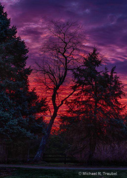 Early morning sunrise on the farm