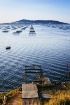 Camargue Oyster B...