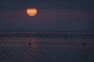 Camargue Seascape...