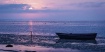 Camargue Seascape...