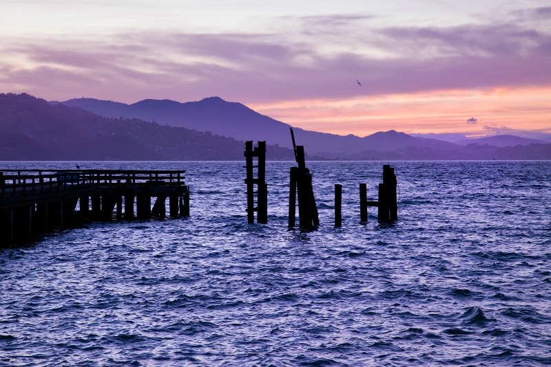 Indigo Evening